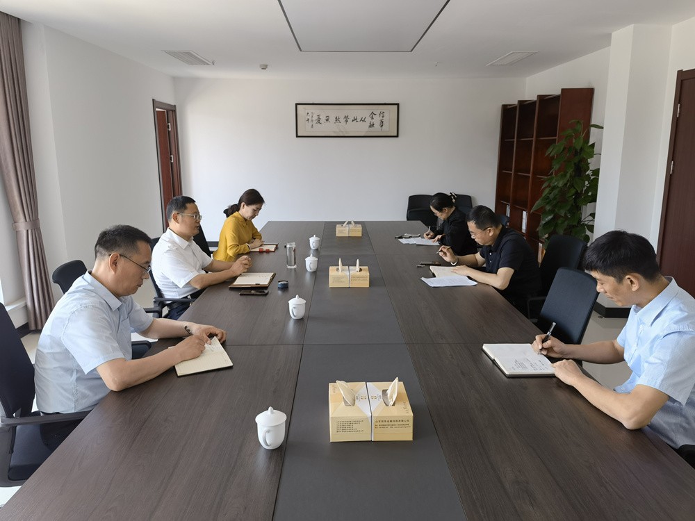 徐俊董事长到2026年世界杯金融控股公司开展座谈调研